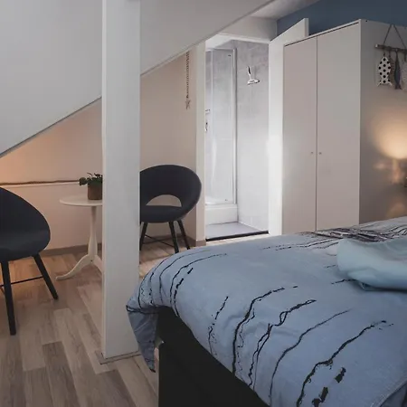 Bed & Breakfast Het Ruime Sop Wassenaar