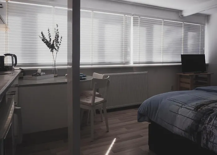 Het Ruime Sop Bed & Breakfast Wassenaar