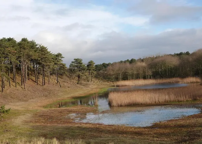 Bed & Breakfast Het Ruime Sop