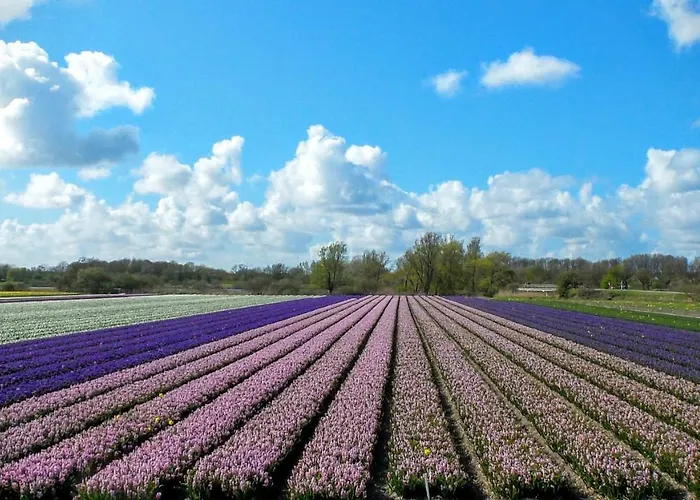 Het Ruime Sop Bed & Breakfast